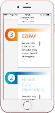Website Example on Tablet