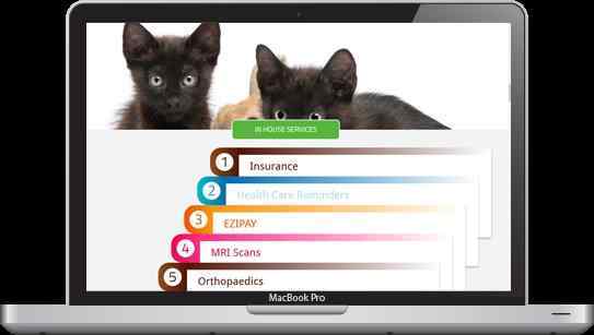 Caring Vets Website Example Mac