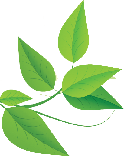 The Garden Leaves of East 2 Eden