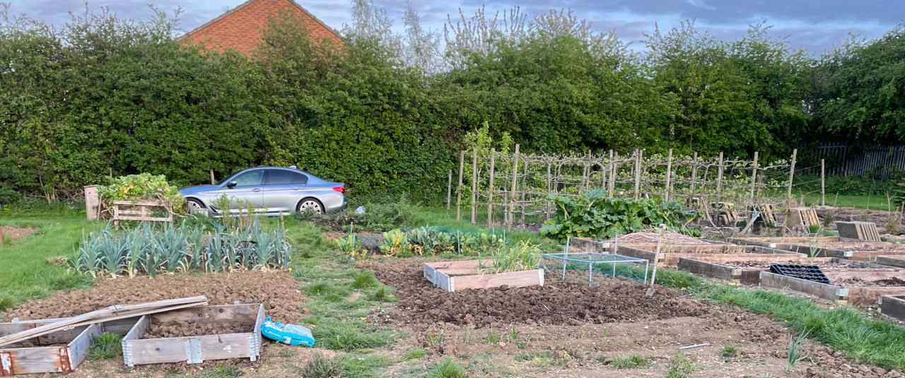 Shane's Allotment
