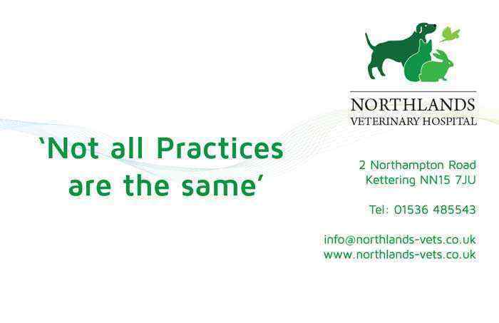 Northlands Business Cards