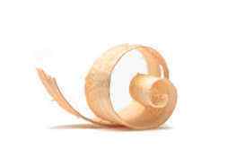 An image of saw dust